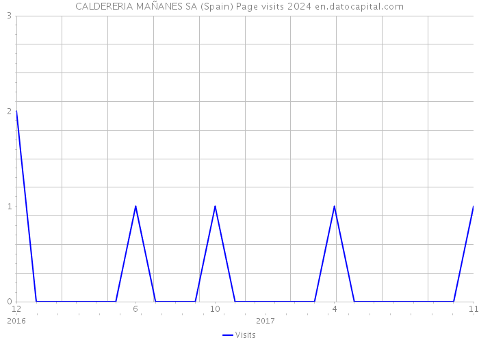 CALDERERIA MAÑANES SA (Spain) Page visits 2024 