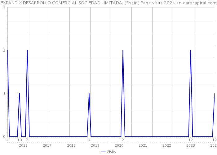 EXPANDIX DESARROLLO COMERCIAL SOCIEDAD LIMITADA. (Spain) Page visits 2024 