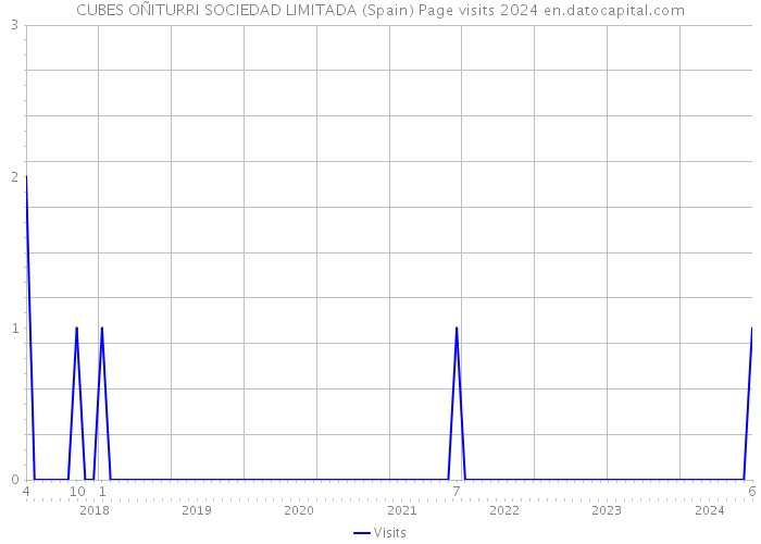 CUBES OÑITURRI SOCIEDAD LIMITADA (Spain) Page visits 2024 