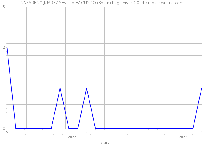 NAZARENO JUAREZ SEVILLA FACUNDO (Spain) Page visits 2024 