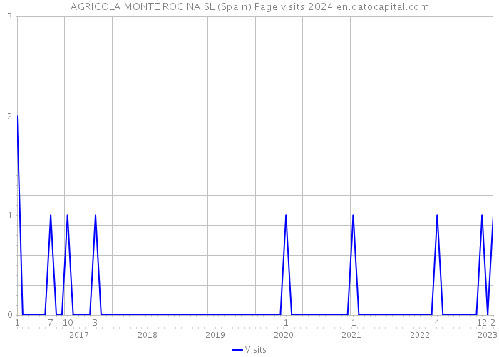 AGRICOLA MONTE ROCINA SL (Spain) Page visits 2024 