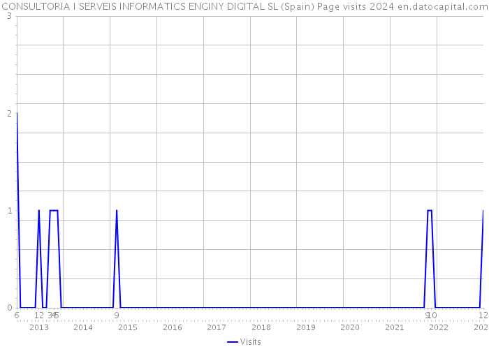 CONSULTORIA I SERVEIS INFORMATICS ENGINY DIGITAL SL (Spain) Page visits 2024 