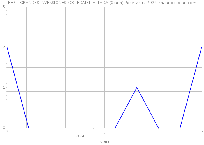 FERPI GRANDES INVERSIONES SOCIEDAD LIMITADA (Spain) Page visits 2024 