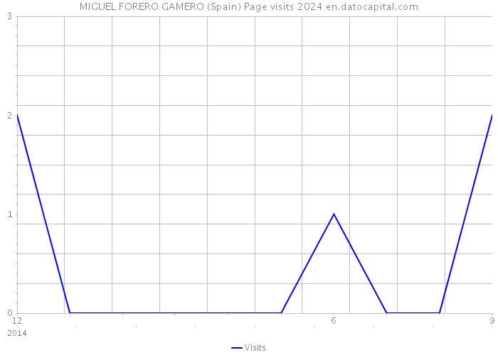 MIGUEL FORERO GAMERO (Spain) Page visits 2024 