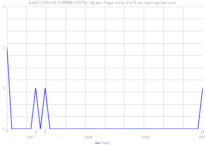 JUAN CARLOS AYERBE GOITIA (Spain) Page visits 2024 