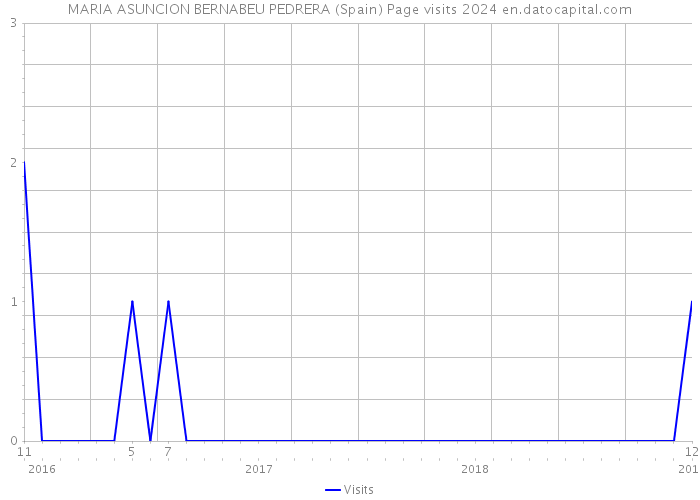 MARIA ASUNCION BERNABEU PEDRERA (Spain) Page visits 2024 