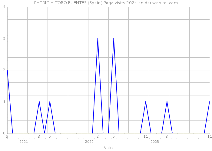 PATRICIA TORO FUENTES (Spain) Page visits 2024 