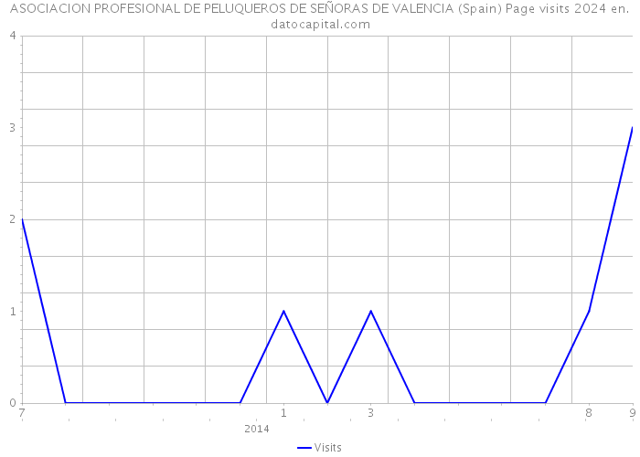 ASOCIACION PROFESIONAL DE PELUQUEROS DE SEÑORAS DE VALENCIA (Spain) Page visits 2024 