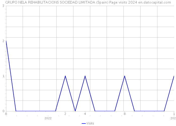 GRUPO NELA REHABILITACIONS SOCIEDAD LIMITADA (Spain) Page visits 2024 