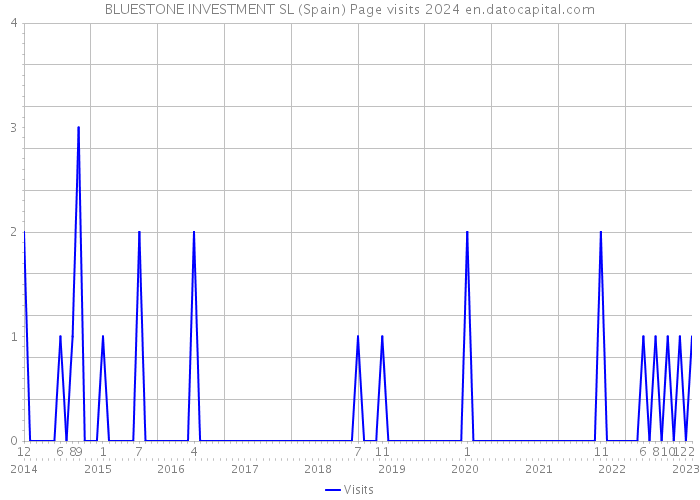 BLUESTONE INVESTMENT SL (Spain) Page visits 2024 