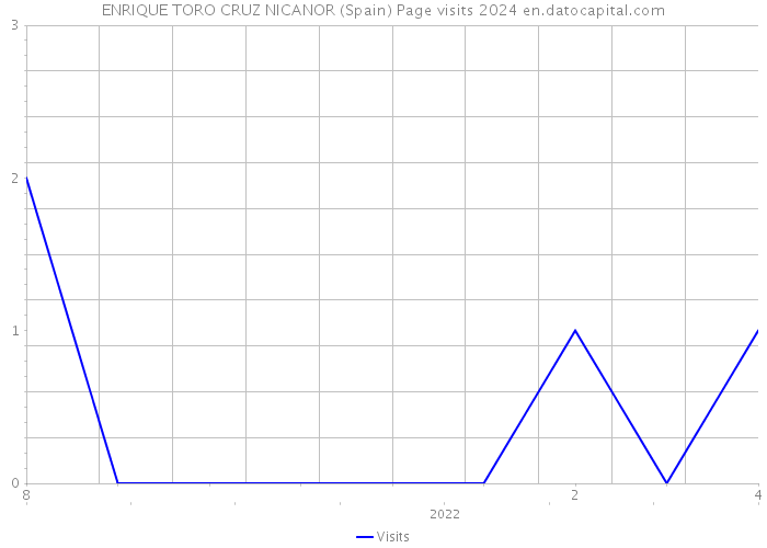 ENRIQUE TORO CRUZ NICANOR (Spain) Page visits 2024 