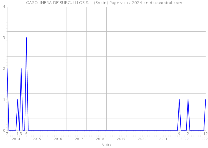 GASOLINERA DE BURGUILLOS S.L. (Spain) Page visits 2024 