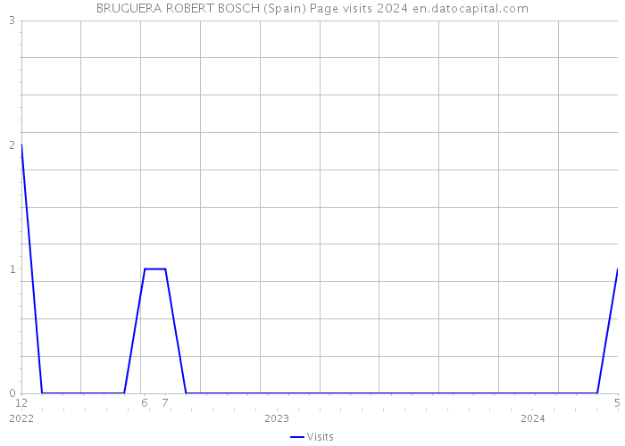 BRUGUERA ROBERT BOSCH (Spain) Page visits 2024 