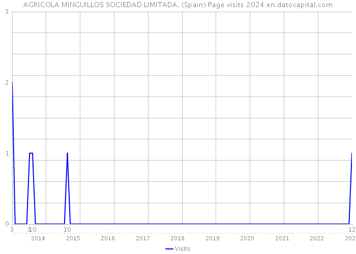AGRICOLA MINGUILLOS SOCIEDAD LIMITADA. (Spain) Page visits 2024 