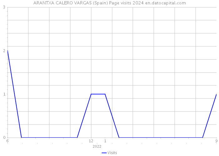 ARANTXA CALERO VARGAS (Spain) Page visits 2024 
