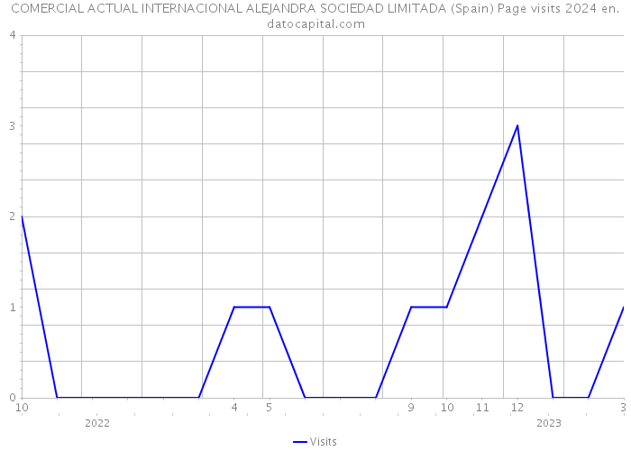 COMERCIAL ACTUAL INTERNACIONAL ALEJANDRA SOCIEDAD LIMITADA (Spain) Page visits 2024 