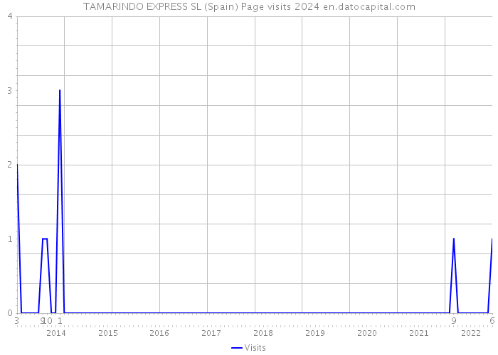 TAMARINDO EXPRESS SL (Spain) Page visits 2024 