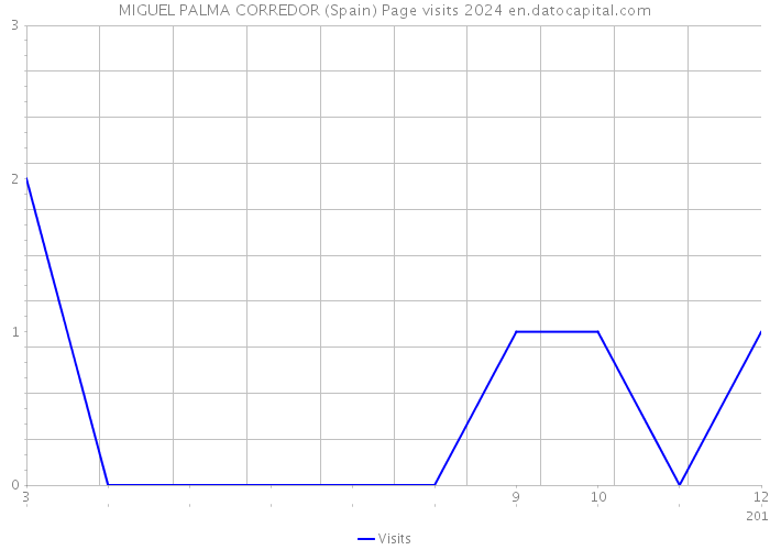 MIGUEL PALMA CORREDOR (Spain) Page visits 2024 