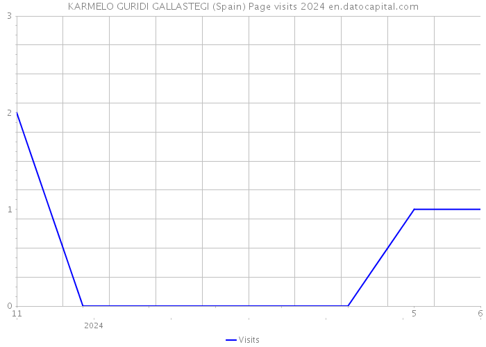 KARMELO GURIDI GALLASTEGI (Spain) Page visits 2024 