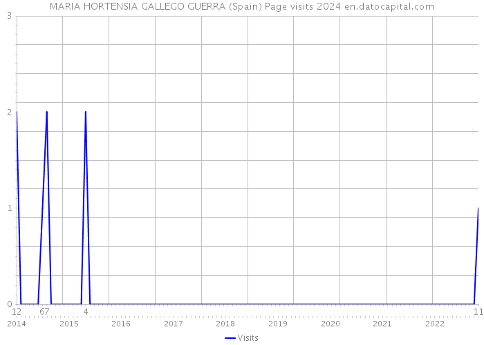 MARIA HORTENSIA GALLEGO GUERRA (Spain) Page visits 2024 