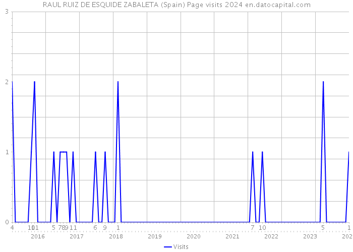 RAUL RUIZ DE ESQUIDE ZABALETA (Spain) Page visits 2024 