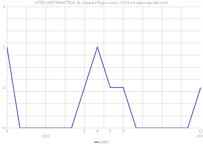 VITEX INFORMATICA SL (Spain) Page visits 2024 