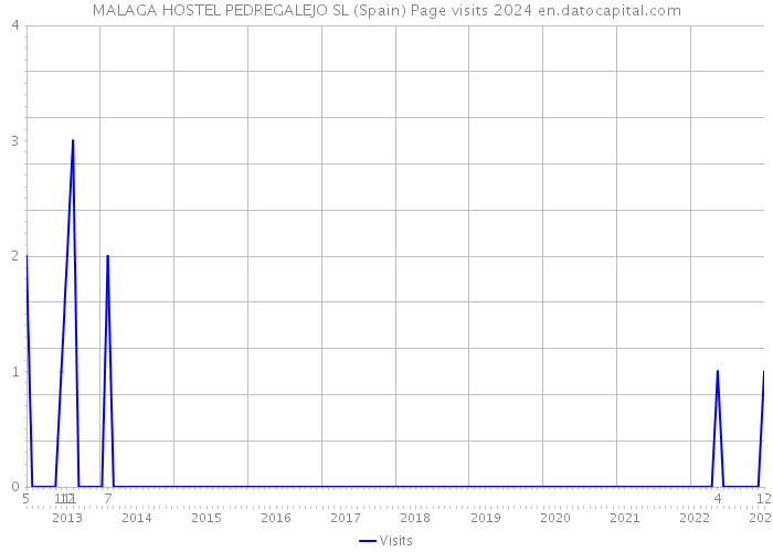 MALAGA HOSTEL PEDREGALEJO SL (Spain) Page visits 2024 