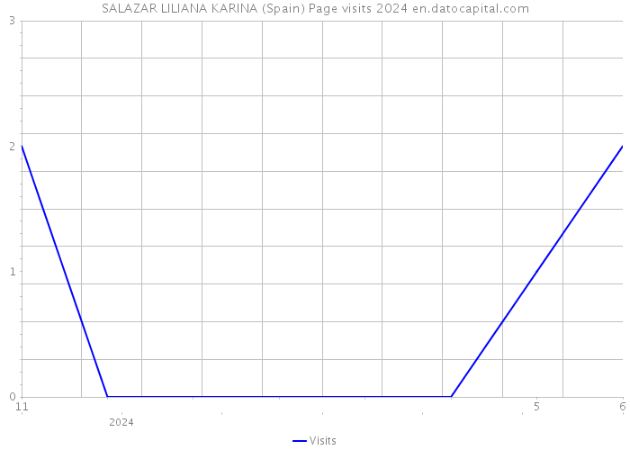 SALAZAR LILIANA KARINA (Spain) Page visits 2024 