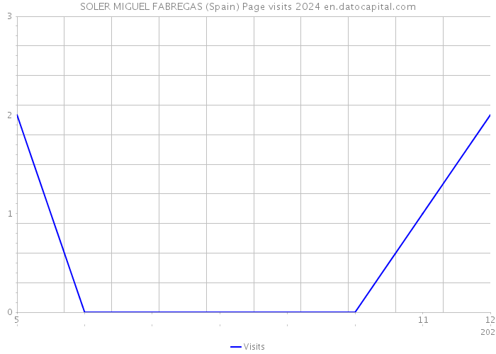 SOLER MIGUEL FABREGAS (Spain) Page visits 2024 