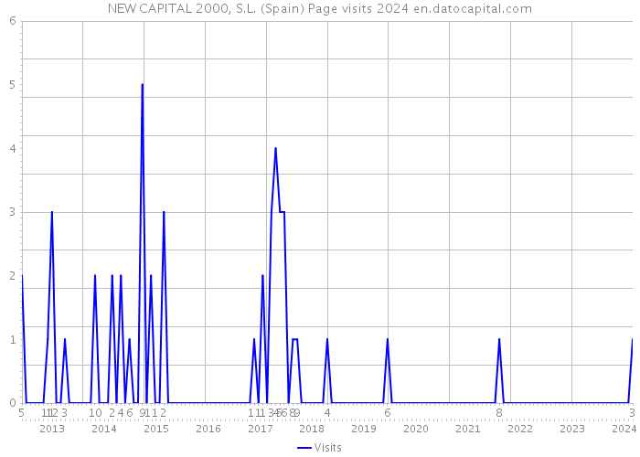 NEW CAPITAL 2000, S.L. (Spain) Page visits 2024 