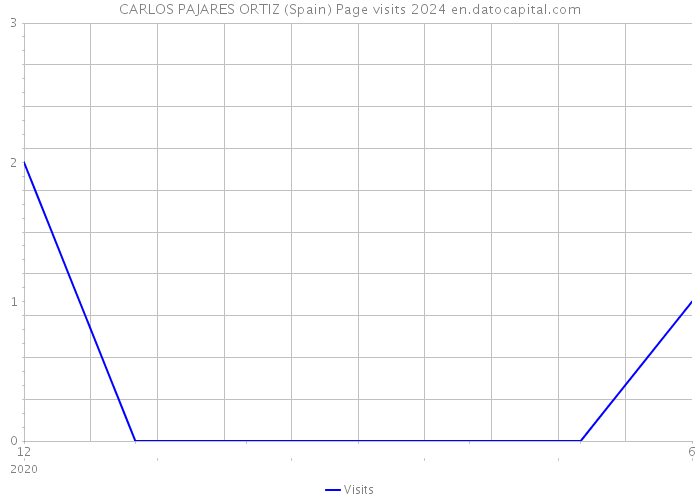 CARLOS PAJARES ORTIZ (Spain) Page visits 2024 