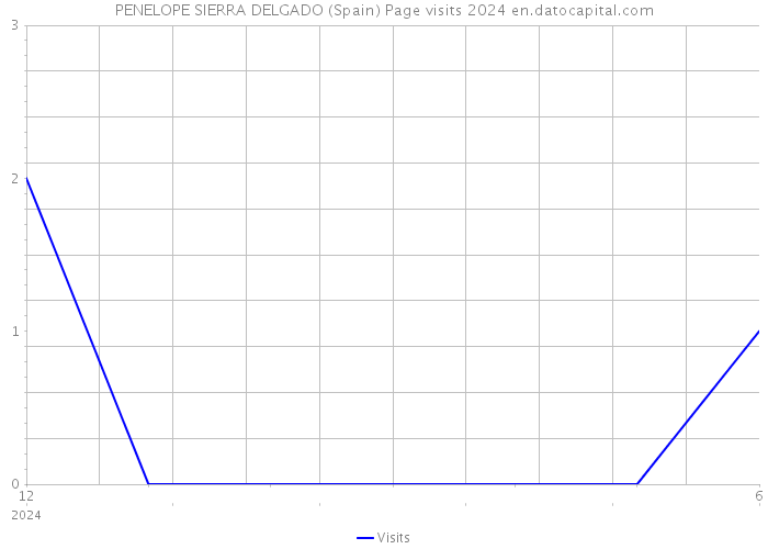 PENELOPE SIERRA DELGADO (Spain) Page visits 2024 