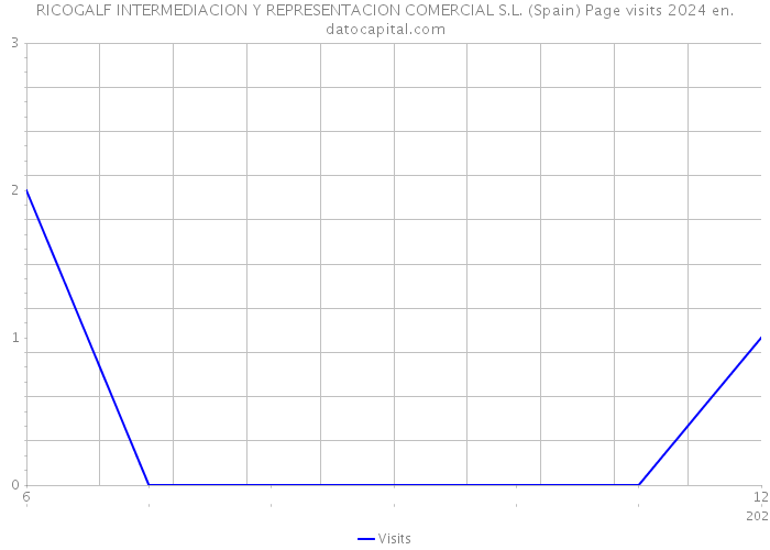 RICOGALF INTERMEDIACION Y REPRESENTACION COMERCIAL S.L. (Spain) Page visits 2024 