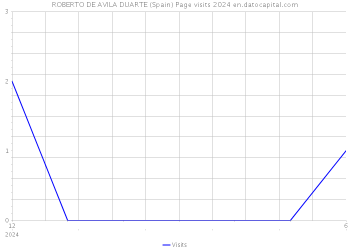 ROBERTO DE AVILA DUARTE (Spain) Page visits 2024 