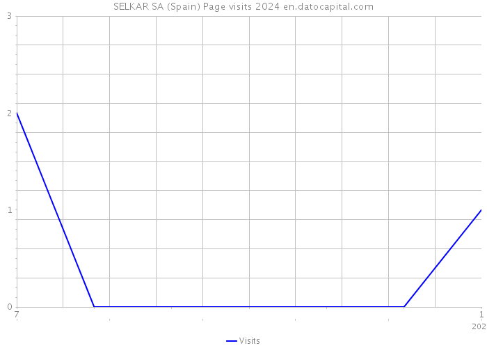 SELKAR SA (Spain) Page visits 2024 