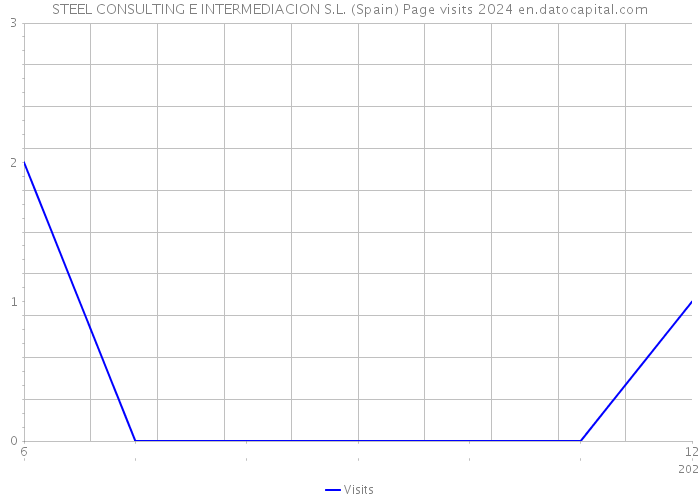 STEEL CONSULTING E INTERMEDIACION S.L. (Spain) Page visits 2024 