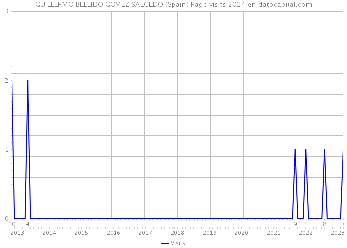 GUILLERMO BELLIDO GOMEZ SALCEDO (Spain) Page visits 2024 