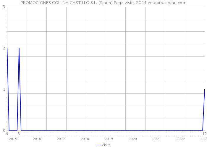 PROMOCIONES COILINA CASTILLO S.L. (Spain) Page visits 2024 