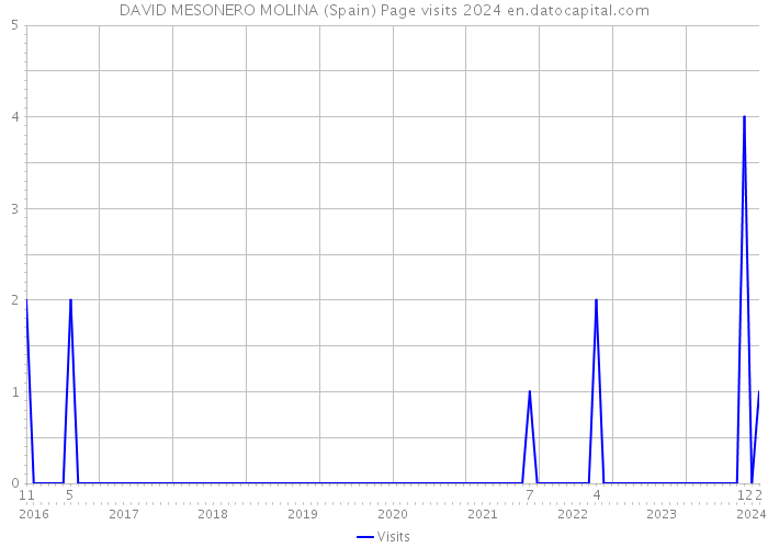 DAVID MESONERO MOLINA (Spain) Page visits 2024 