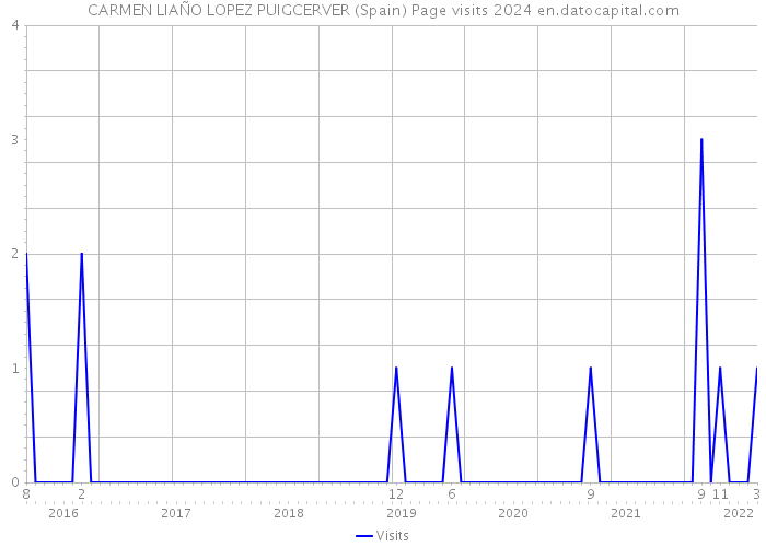 CARMEN LIAÑO LOPEZ PUIGCERVER (Spain) Page visits 2024 