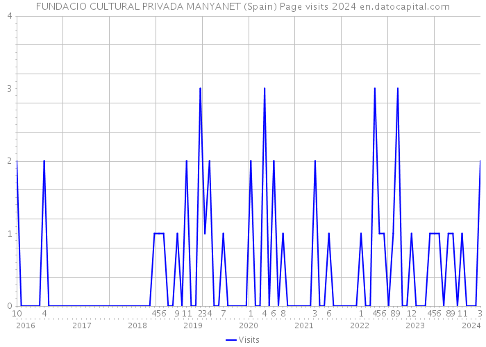 FUNDACIO CULTURAL PRIVADA MANYANET (Spain) Page visits 2024 