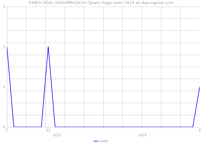 FABIO VIDAL VIDAURRAZAGA (Spain) Page visits 2024 