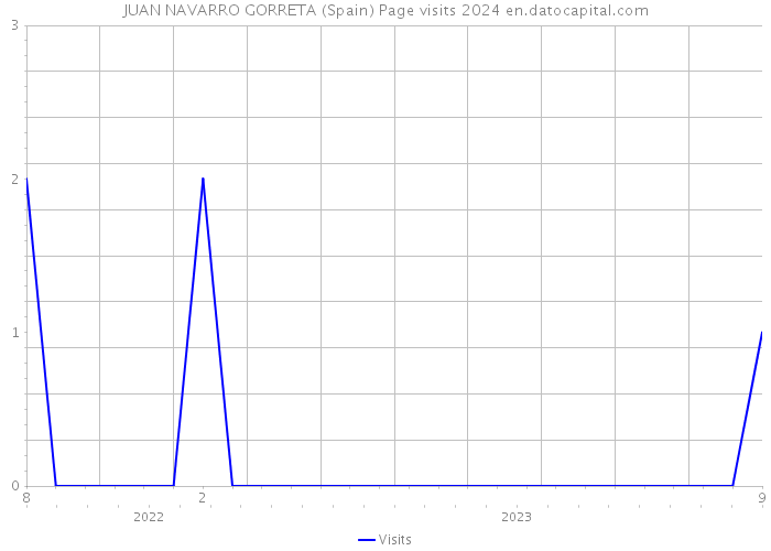 JUAN NAVARRO GORRETA (Spain) Page visits 2024 