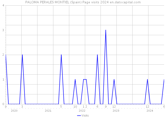 PALOMA PERALES MONTIEL (Spain) Page visits 2024 