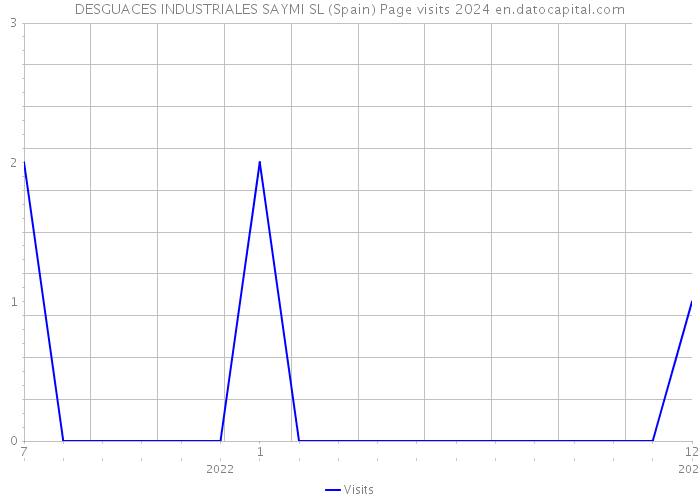 DESGUACES INDUSTRIALES SAYMI SL (Spain) Page visits 2024 