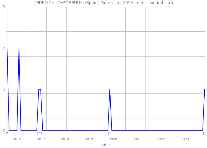 PEDRO SANCHEZ BENNAI (Spain) Page visits 2024 