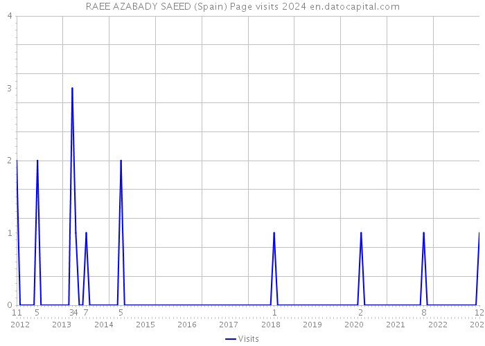RAEE AZABADY SAEED (Spain) Page visits 2024 