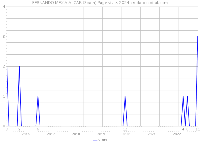 FERNANDO MEXIA ALGAR (Spain) Page visits 2024 