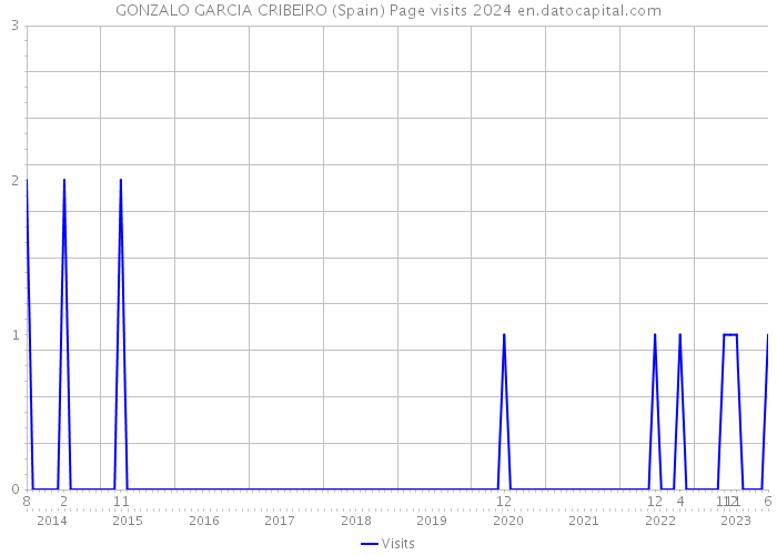 GONZALO GARCIA CRIBEIRO (Spain) Page visits 2024 