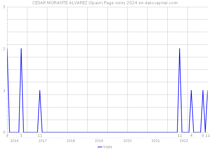 CESAR MORANTE ALVAREZ (Spain) Page visits 2024 